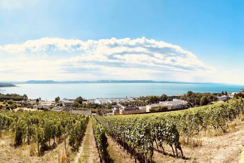 Charmant Appartement De Vacances Alta Ripa Hauterive  Kültér fotó