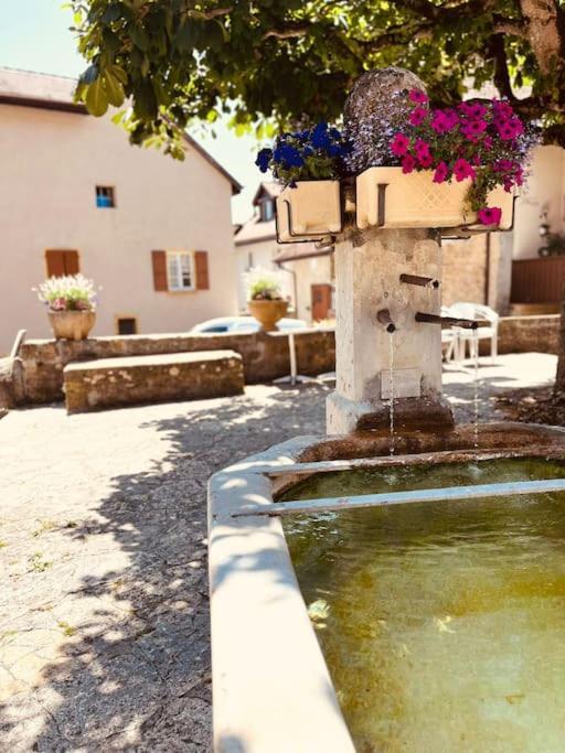 Charmant Appartement De Vacances Alta Ripa Hauterive  Kültér fotó