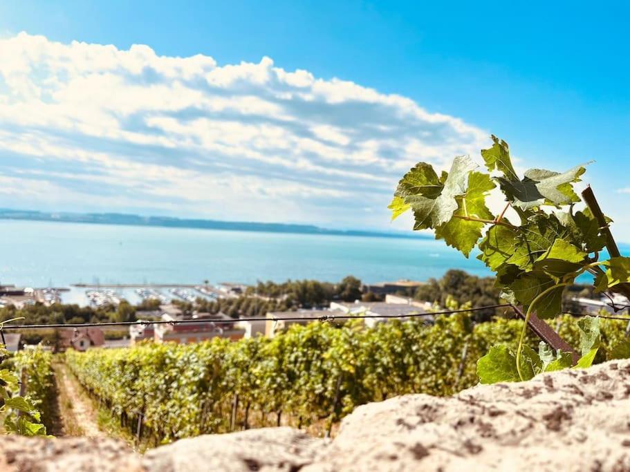 Charmant Appartement De Vacances Alta Ripa Hauterive  Kültér fotó