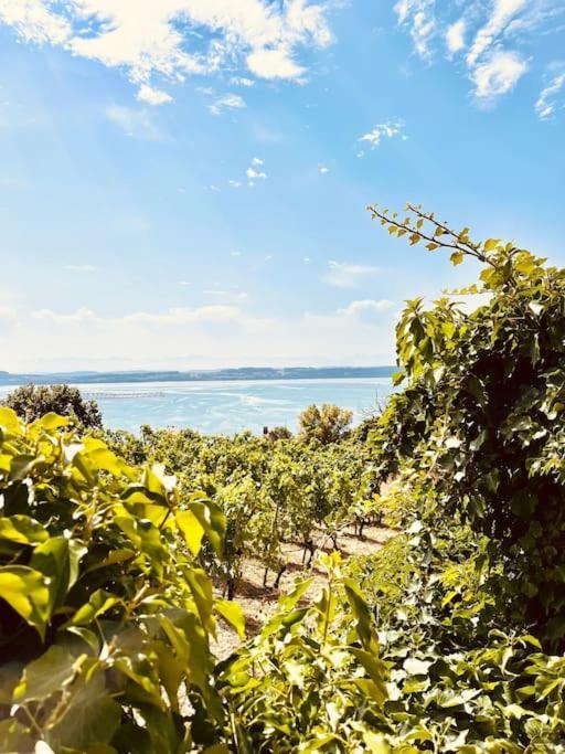 Charmant Appartement De Vacances Alta Ripa Hauterive  Kültér fotó